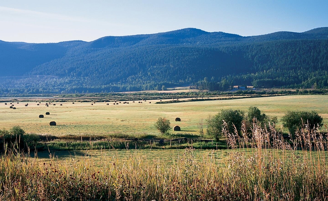 Blick auf Weiden und Berge in der Nähe des Canim Lake bei 100 Mile House; großer Scan verfügbar.