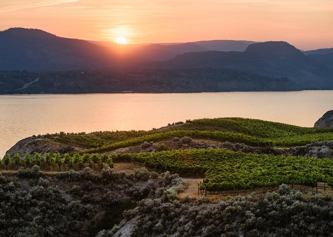 Sonnenuntergang über dem Marichel-Weingut