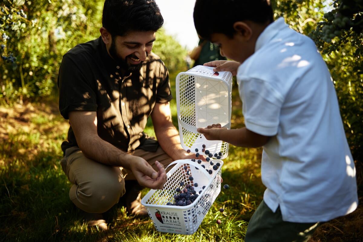 Una familia recogiendo bayas en Krause Berry Farms & Estate Winery, en Langley