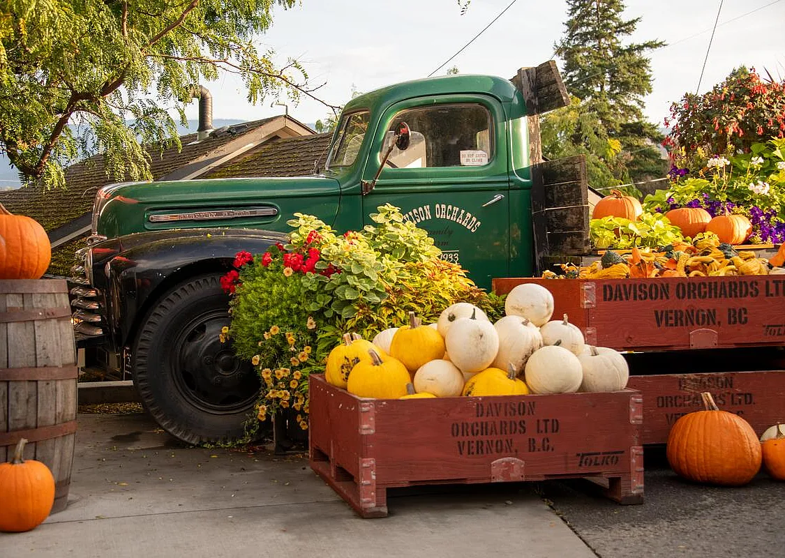 Un vehículo agrícola antiguo rodeado de calabazas en Davison Orchards en Vernon.