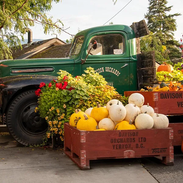 An old farm vehicle surrounded by pumpkins at Davison Orchards in Vernon.