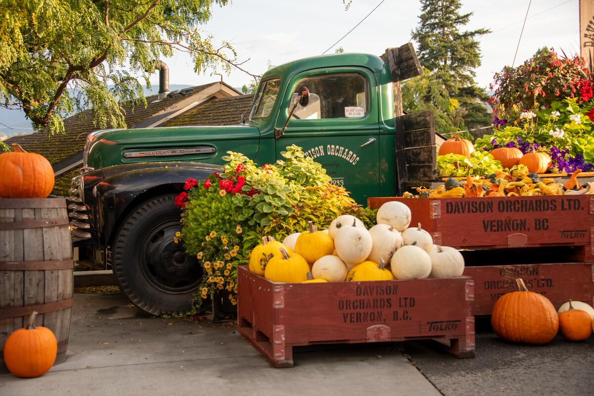 Ein altes landwirtschaftliches Fahrzeug, umgeben von Kürbissen bei Davison Orchards in Vernon.