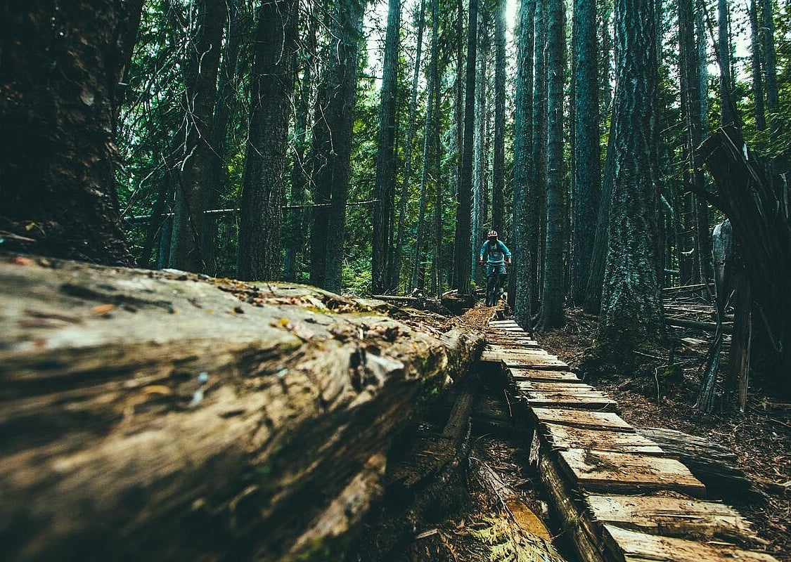 Mountain biking at Kicking Horse Mountain Resort