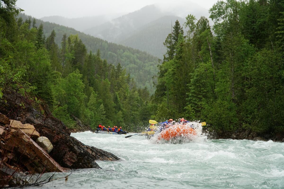 Whitewater rafting on the Bull River near Fernie, British Columbia, with Canyon Raft Company guiding guests through scenic river rapids surrounded by forested mountain terrain.