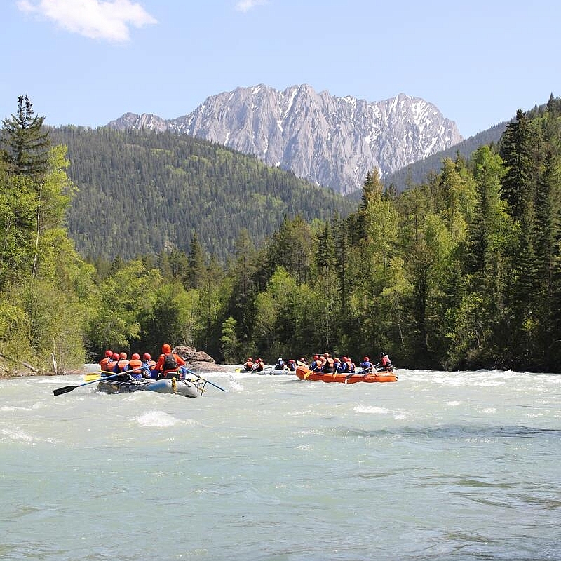 Whitewater rafting on the Bull River near Fernie, British Columbia, with Canyon Raft Company guiding guests through scenic river rapids surrounded by forested mountain terrain.