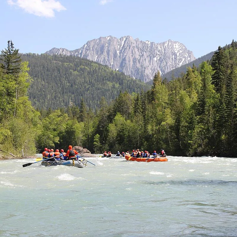 Wildwasser-Rafting auf dem Bull River in der Nähe von Fernie, British Columbia – die Canyon Raft Company führt die Gäste durch malerische Stromschnellen, umgeben von bewaldeter Berglandschaft.