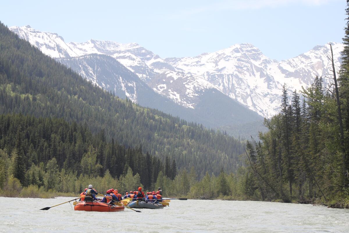 Whitewater rafting on the Bull River near Fernie, British Columbia, with Canyon Raft Company guiding guests through scenic river rapids surrounded by forested mountain terrain.