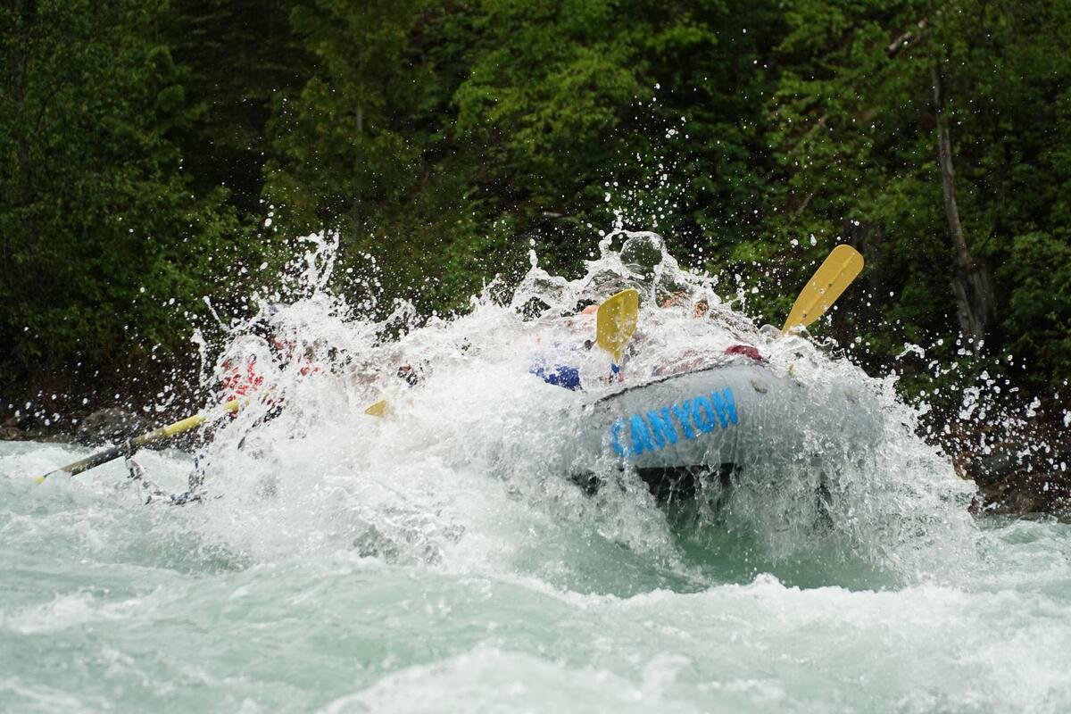 Whitewater rafting on the Bull River near Fernie, British Columbia, with Canyon Raft Company guiding guests through scenic river rapids surrounded by forested mountain terrain.