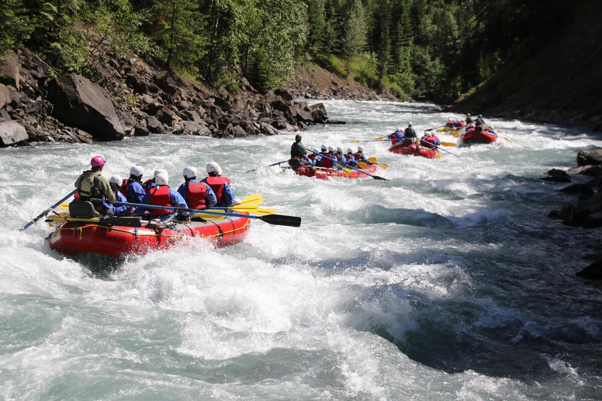 A group whitewater rafting along the Illecillewaet River near Revelstoke with Apex Rafting.