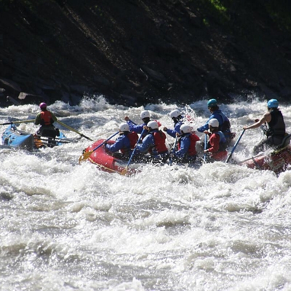 A group whitewater rafting along the Illecillewaet River near Revelstoke with Apex Rafting.