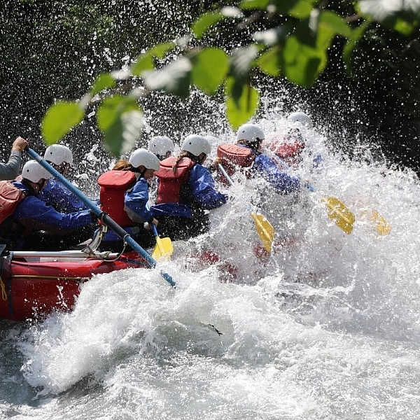 A group whitewater rafting along the Illecillewaet River near Revelstoke with Apex Rafting.