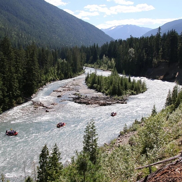 A group whitewater rafting along the Illecillewaet River near Revelstoke with Apex Rafting.