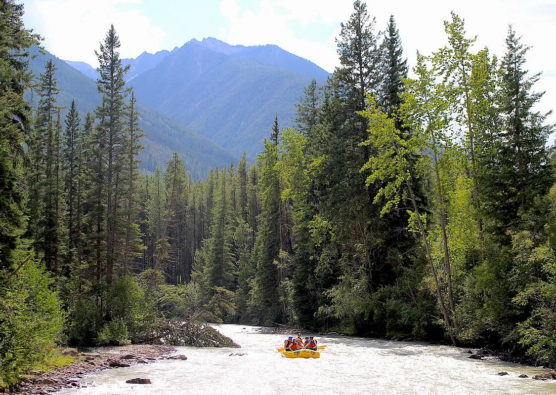 A group rafting on Toby Creek near Invermere with Kootenay River Runners.