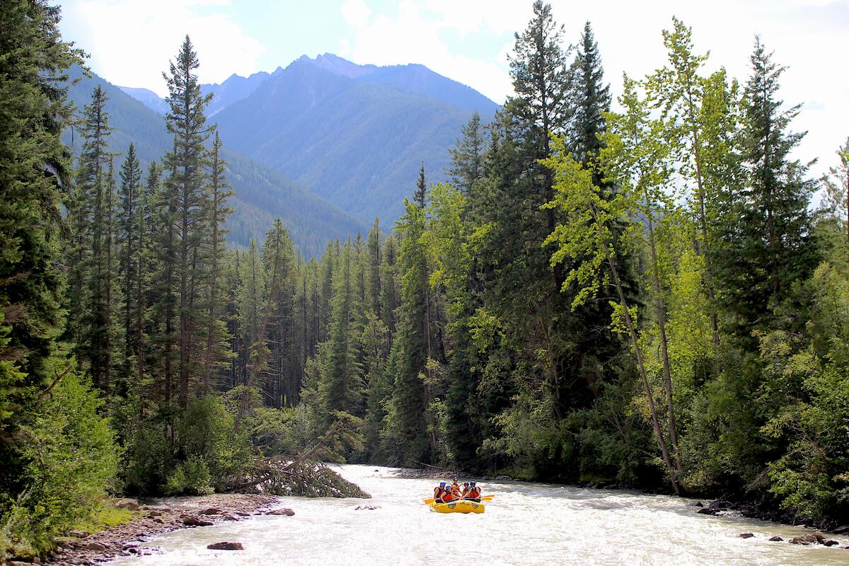 A group rafting on Toby Creek near Invermere with Kootenay River Runners.