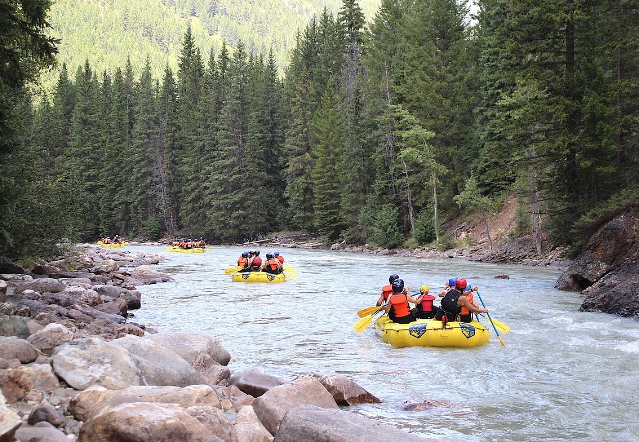 A group rafting on Toby Creek near Invermere with Kootenay River Runners.