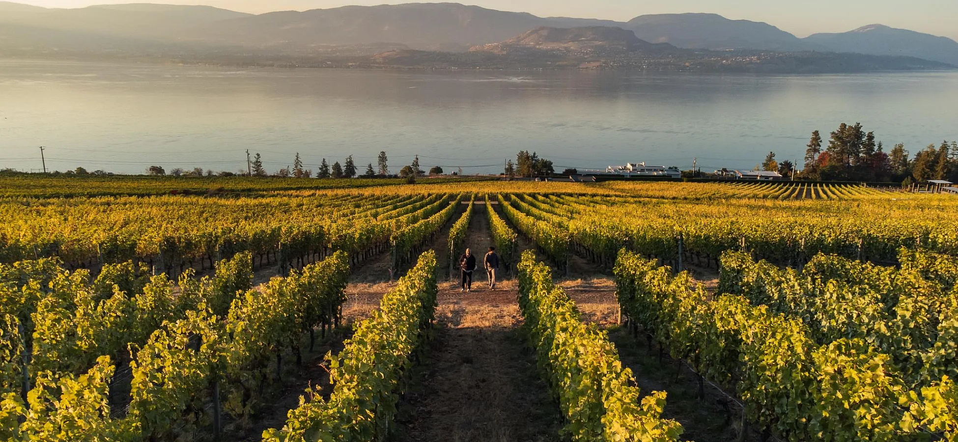 CedarCreek Estate Winery | Ken Hagen