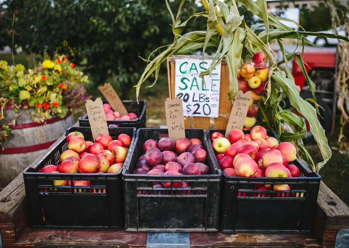 Manzanas en un puesto de fruta en West Kelowna