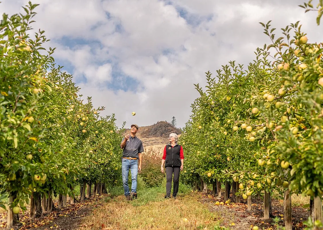 Bob y Tamra Davison pasean por el huerto de manzanos de su negocio familiar, Davison Orchards, en Vernon.