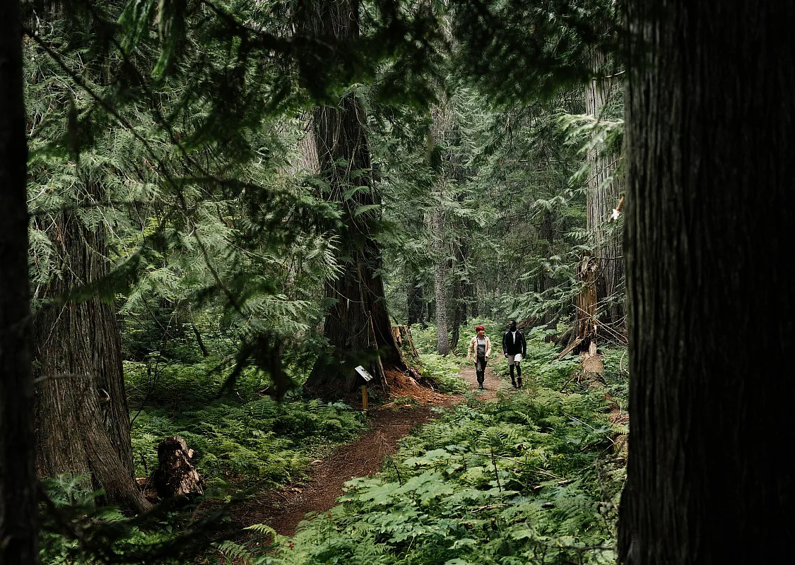 Ka Papa Cedars Trail.