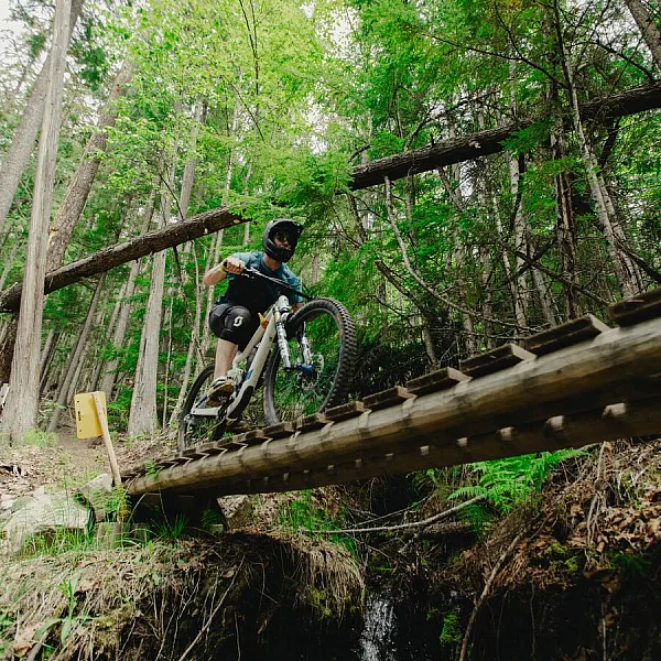 A mountain biker riding across a bridge on a forested trail on Mount Abriel in Nakusp.