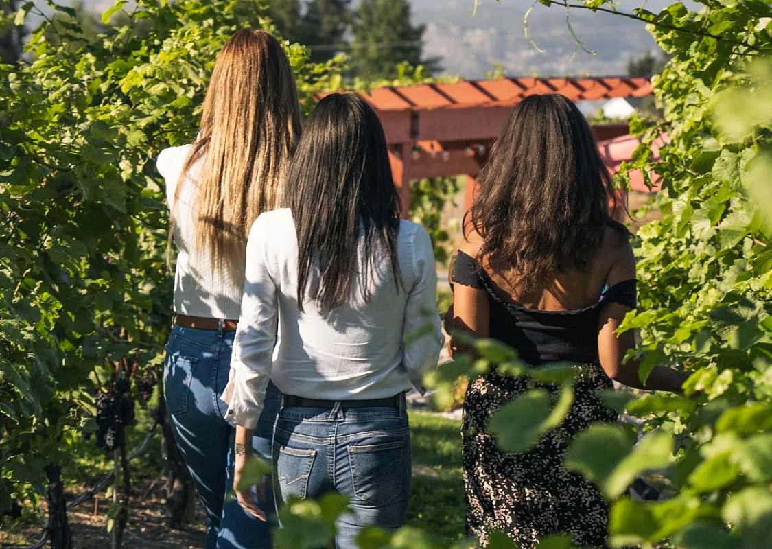 Grupo paseando por los viñedos de la bodega SpearHead 1