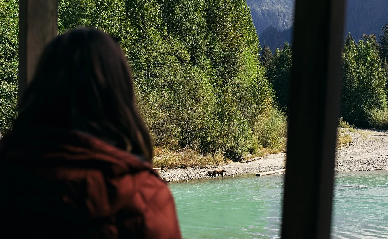 Observación de osos pardos con Homalco Wildlife & Cultural Tours