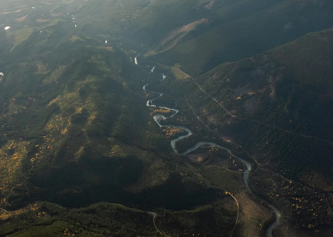 Luftaufnahme des Bobbie Burns Creek im Columbia Valley, aufgenommen von @ashvoykin während eines Rundflugs mit Kicking Horse Aviation aus Golden.