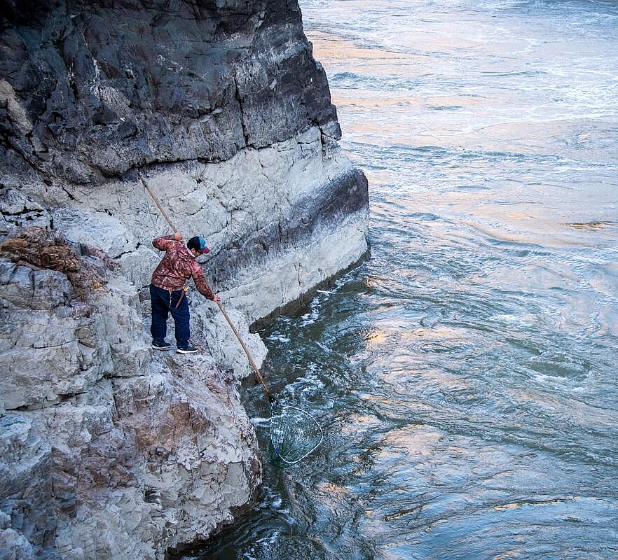 Joshua Jack, a tour guide at Xwísten Experience Tours, demonstrates salmon dipping on the Fraser River near Lillooet.